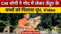 Exclusive: Gorakhpur में CM Yogi Adityanath ने Leopard के Cub को दूध पिलाया | वनइंडिया हिंदी *News