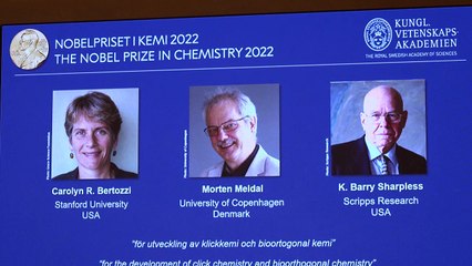 Cientistas que estabeleceram bases para química mais funcional são agraciados com Nobel