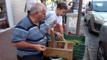 Balıkesir yerel haberleri... Balıkesir'de kırma zeytin yapımına başlandı