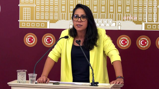 TİP'li Kadıgil: Bu memlekette başörtüsü sorunu yok; her Allah'ın günü erkeğin keyfine göre davranmadı diye şiddet gören, tecavüze uğrayıp öldürülen kadınlar var!