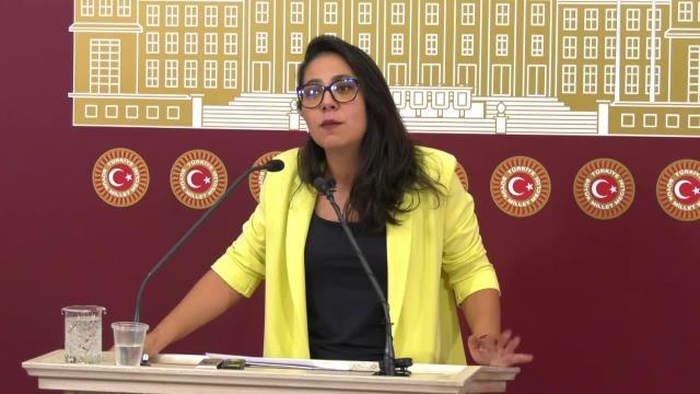 Van gündem haberi | Sera Kadıgil: Bu Ülkede Başörtüsü Diye Bir Sorun Yok Ama Saray Rejiminin Biz Kadınlarla Çok Ciddi Bir Sorunu Var