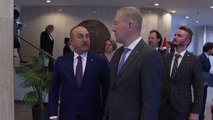 Çavuşoğlu, Estonya Parlamentosu Dışişleri Komisyonu Başkanı Mihkelson ve Dışişleri Komisyonu üyelerini kabul etti