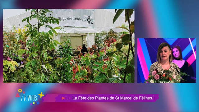 Vieilles Pierres - Jeunes Plantes c'est la fête des plantes au château de St Marcel de Félines 7 à vous vous dévoile le programme de ces deux journées très Flower Power !