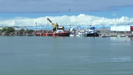 Palamut azlığı tezgahlarda fiyat artışına neden oldu