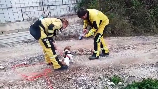 Voluntarios de USAR 13 trabajan entrenando perros de rescate en La Nucía