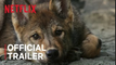 Island of the Sea Wolves | Official Trailer | Will Arnett Documentary Series - Netflix
