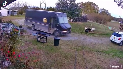 Des chèvres traumatisées par un camion de livraison