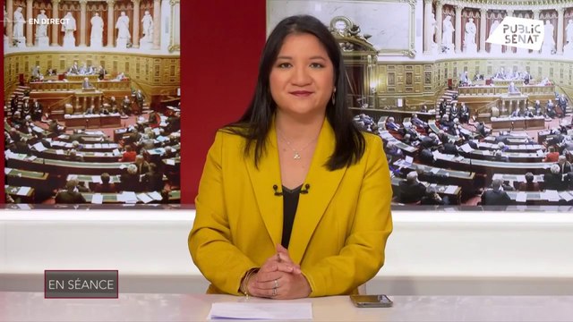 Atteintes aux droits des femmes et aux droits de l'homme en Iran : le débat au Sénat