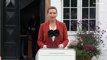 Denmark calls snap general election after government support dwindles