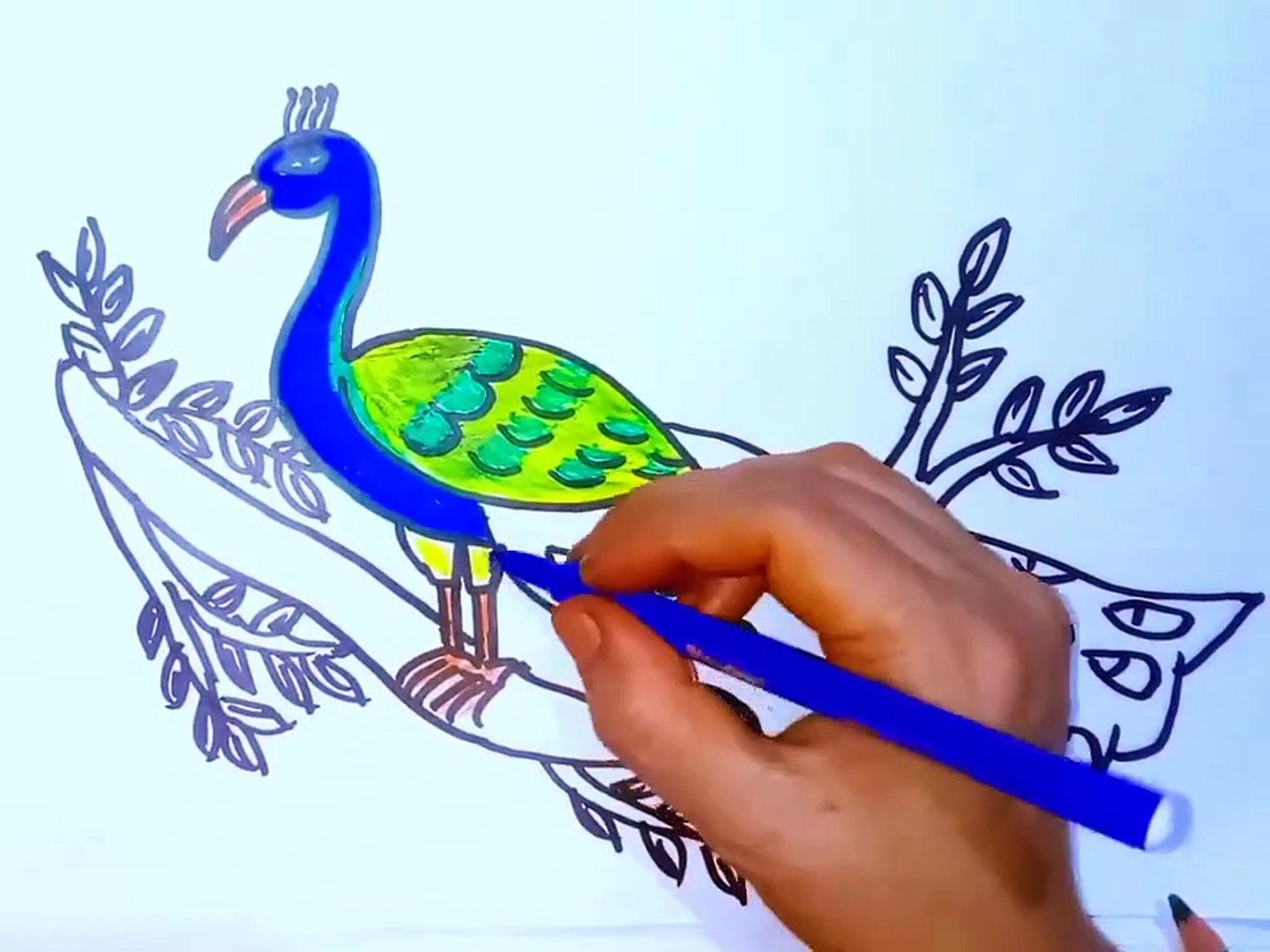 Learn to draw a beautiful peacock very easily. - video Dailymotion