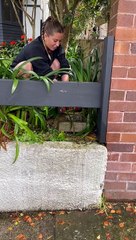 Female Plumber and Boss React to Large Sewer Blockage