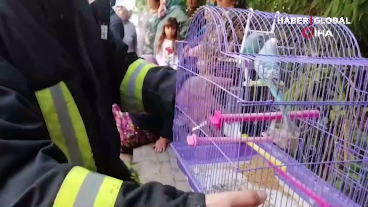 Kocaeli'de itfaiye ekiplerinden "Fıstık" operasyonu: Muhabbet kuşu son anda hayata tutundu