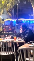 Frenchies Eat at Restaurant Like Humans