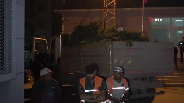 Samsun haberi... Bafra'da 1 ton 200 kilo Hint keneviri ve 300 kilo kubar esrar ele geçirildi