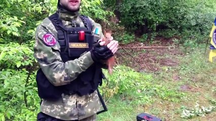 Friendly Squirrel Follows Soldiers