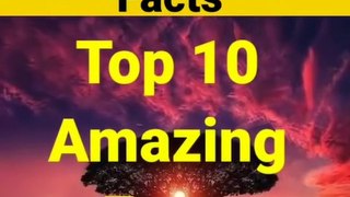 Top 10 Amezing fact