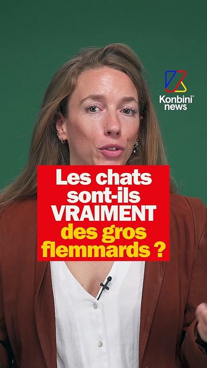 Les chats sont-ils VRAIMENT des flemmards ?