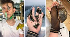 Jovem alemão bomba nas redes sociais com fotos e vídeos de seus insetos