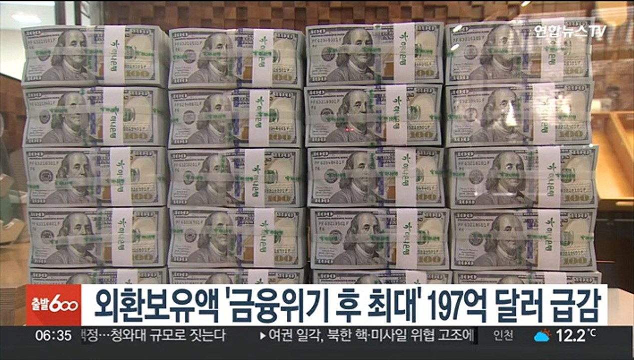 외환보유액 '금융위기 후 최대' 197억 달러 급감