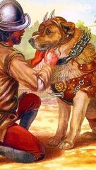 Why Dogs Were Used in Wars #shorts