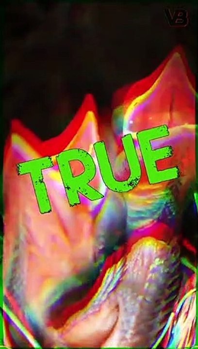 The Animal World Has Incubators