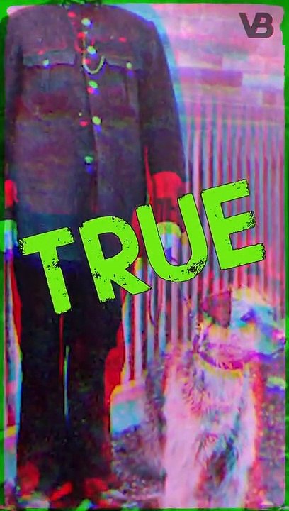 The Airedale Terrier Was the First to Be Used in the Police of Great Britain #shorts