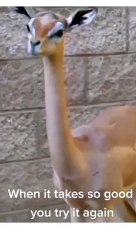 giedde-20220925-0001