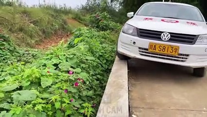 How to pass your driving test when you meet such circumstances