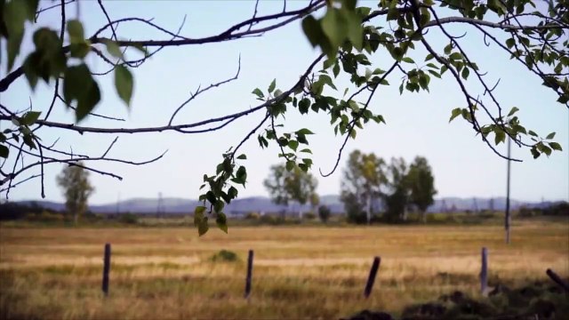 Quarry Bande-annonce (RU)