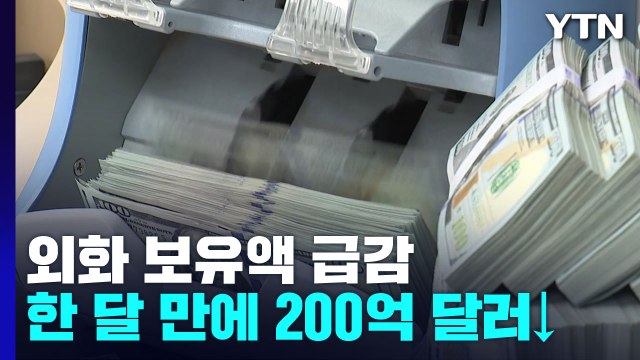 외화보유액, 한 달 만에 200억 달러 감소...역대 2위 / YTN
