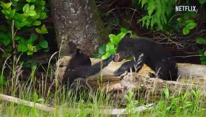 Island of the Sea Wolves Season 1 Trailer