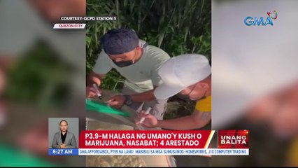P3.9-M halaga ng umano'y kush o marijuana, nasabat; 4 arestado | UB