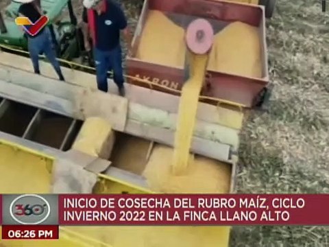 Guárico | Finca Llano Alto inicia la cosecha de 254 mil hectáreas de maíz