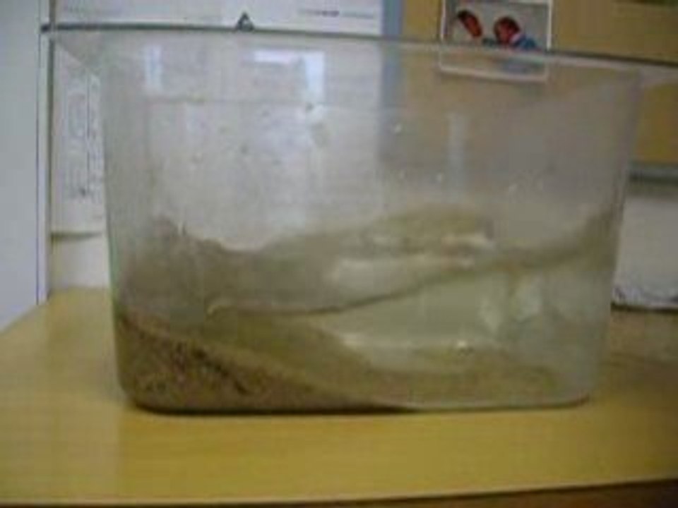 expérience TPE tsunamis