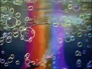 Fantasia Bande-annonce (EN)