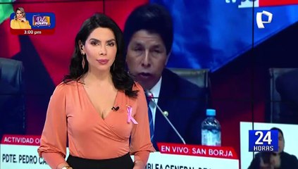 Pedro Castillo en asamblea OEA: “Se viene desplegando enormes esfuerzos para avanzar”