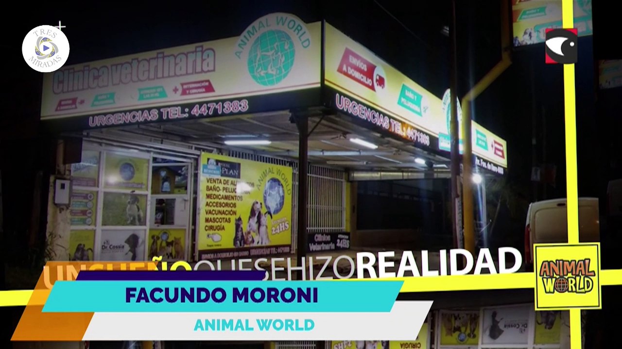 3 Miradas: Facundo Moroni, Animal World