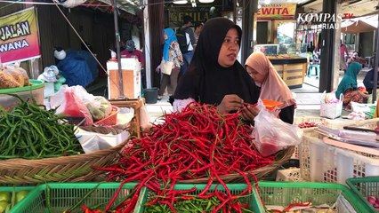 Harga Cabai Turun Minat Pembeli Tinggi