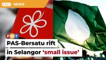 PAS No 2 downplays ‘tension’ with Bersatu in Selangor
