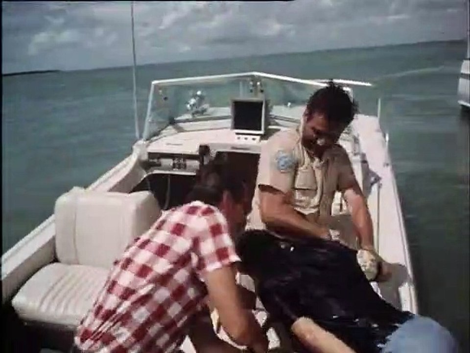 Flipper staffel 2 folge 15 hd deutsch