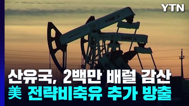 산유국들, 2백만 배럴 감산 합의...바이든, 1천만 배럴 전략비축유 방출 지시 / YTN