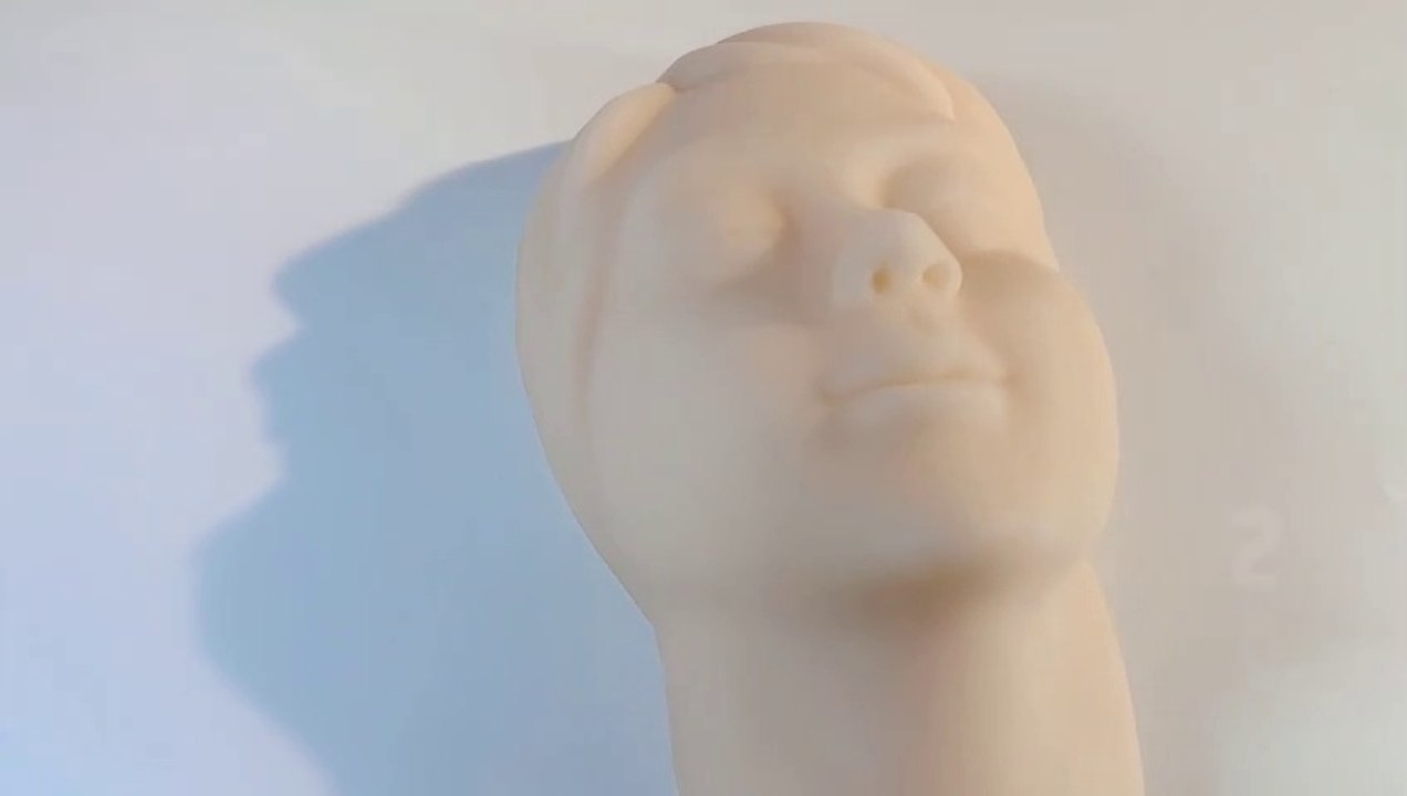 Realistic Model Developed for Facical Injection/Massage/Acupuncture/Makeup Practice