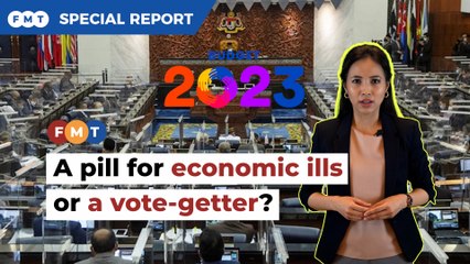 A budget to solve economic problems or to win votes?