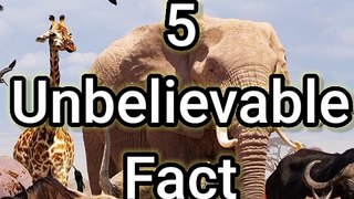Unknown facts about Animals | जानवरों के कुछ गजब के Facts |