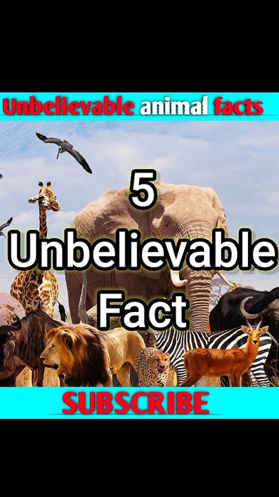 Unknown facts about Animals | जानवरों के कुछ गजब के Facts |