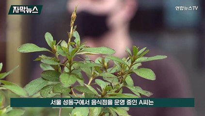 [자막뉴스] '노쇼'에 우는 소상공인…3년여간 피해구제 '0건'