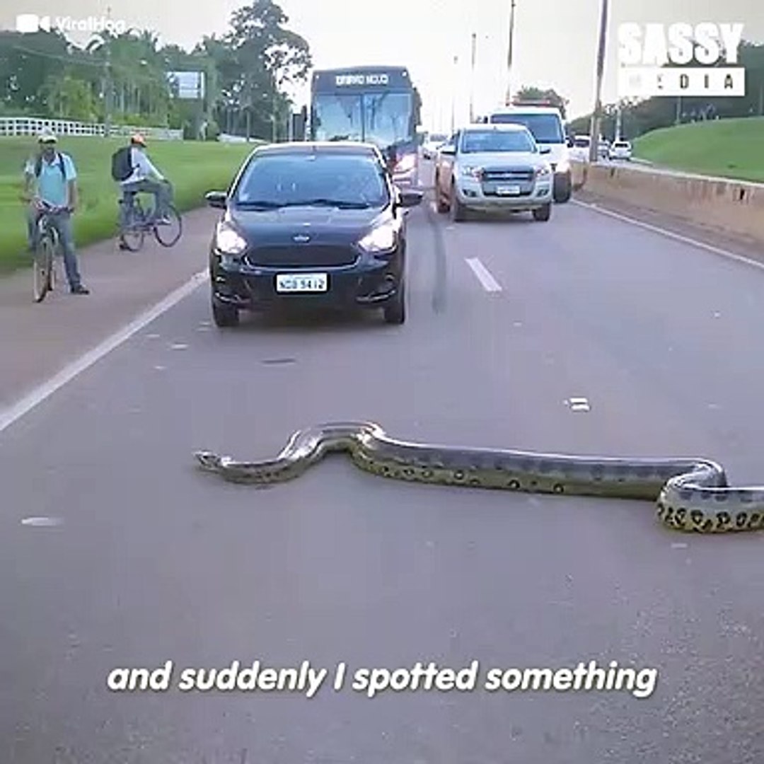comedy