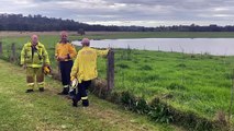 Emergency services on the scene of a fatal helicopter crash at Maitland | Newcastle Herald | October 6, 2022