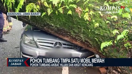 Pohon Tumbang Timpa 1 Unit Mobil Mewah di Kota Bandung