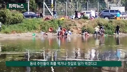 [자막뉴스] "황토물 보였다"…마산 정어리떼 집단 폐사 원인은?
